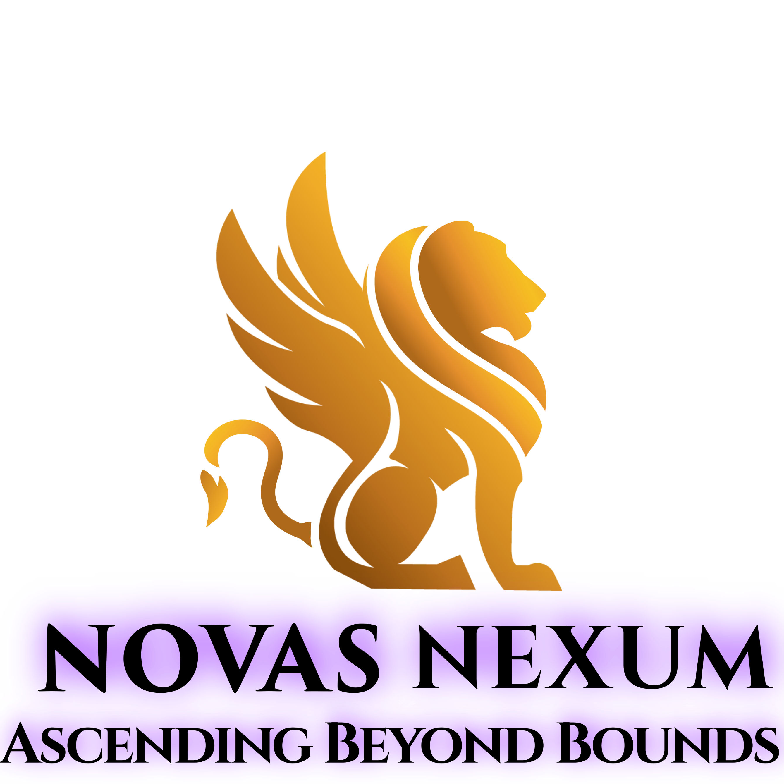 Novus Nexum